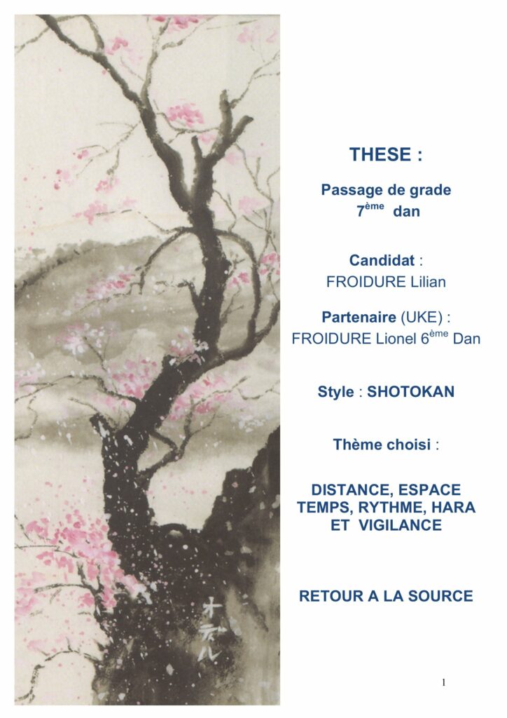 Thèse de 7ème Dan de Lilian Froidure